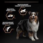 Pro Plan Medium Adult Dry Dog Food, Chicken