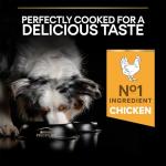 Pro Plan Medium Adult Dry Dog Food, Chicken