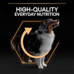 Pro Plan Medium Adult Dry Dog Food, Chicken