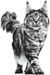 Royal Canin Urinary Care Cat Food 1.5kg