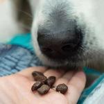 Skipser's Natural Dog Training Treats 500g