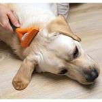 FURminator deShedding Tool for Large Short-Haired Dogs