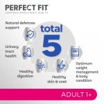 Perfect Fit Wet Cat Food, Mixed Selection Pouches