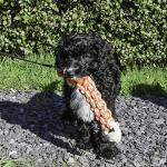 Rosewood Tough Twist Fish Dog Toy