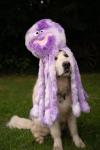 Petface Large Orla Octopus Plush Dog Toy