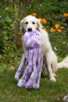 Petface Large Orla Octopus Plush Dog Toy