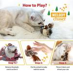 Chirping Bird Interactive Toy for Cats