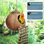 16 PCS Parrot Toys with Bells and Swing