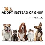 FYNIGO Interactive Feather Wand Toys for Cats