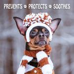Musher's Secret Paw Balm for Dogs and Cats