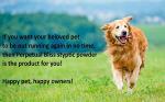 Styptic Powder 60g for Pets and Birds