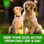 Joint Support Supplement for Dogs with Glucosamine