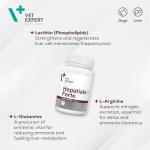 Advanced Liver Support Supplement for Large Dogs