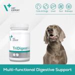 TriDigest Digestive Support for Dogs and Cats 40 Tabs