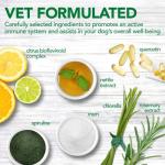 Vet's Best Immune Support for Dogs - 60 Chews