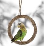 4PCS Hanging Bird Toys for Budgies and Finches
