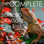 Bearded Dragon Care: Your Complete Guide