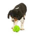 Petface Soft Chew Broccoli Dog Toy, Small