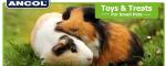 Ancol Wooden Carrot Cruncher Chew Toy for Pets