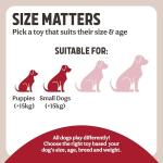 Cheeky Chimp Plush Puppy Toy with Squeak