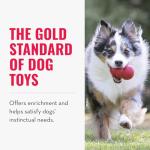 KONG Classic Stuffable Dog Toy for Small Dogs