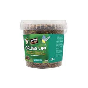 Black Soldier Fly Larvae for Birds & Hedgehogs