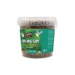 Black Soldier Fly Larvae for Birds & Hedgehogs