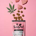 Pooch & Mutt Grain Free Turkey & Hemp Treats