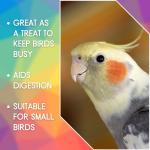 SKYGOLD Healthy Millet Spray for Budgies 1kg