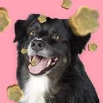 Pooch & Mutt Grain Free Turkey & Hemp Treats