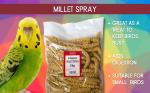 SKYGOLD Healthy Millet Spray for Budgies 1kg