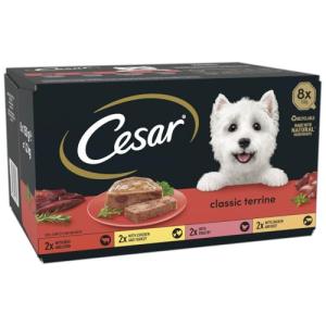 Cesar Classic Terrine Wet Dog Food - Mixed Jelly