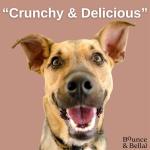 Bounce and Bella Grain-Free Dog Training Treats