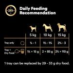 Cesar Classic Terrine Wet Dog Food - Mixed Jelly