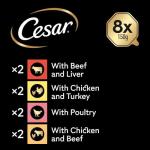 Cesar Classic Terrine Wet Dog Food - Mixed Jelly