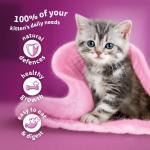 Whiskas Junior Poultry Jelly Cat Food Megapack