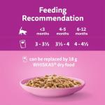 Whiskas Junior Poultry Jelly Cat Food Megapack