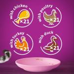 Whiskas Junior Poultry Jelly Cat Food Megapack