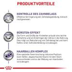 Royal Canin Dental Dry Cat Food 3kg