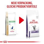 Royal Canin Dental Dry Cat Food 3kg