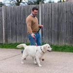 HALTI Control Lead Large - No Pull Dog Leash