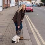 HALTI Control Lead Large - No Pull Dog Leash