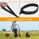 32ft Nylon Training Leash for Dogs
