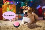 Dog Talking Buttons for Easy Communication (4 Pack)