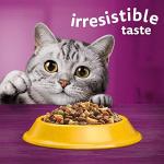 Whiskas Chicken Flavored Adult Dry Cat Food 7kg