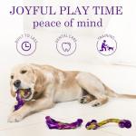 Tough Dog Toys for Aggressive Chewers - 3 Pack