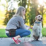 AEMIAO Magnetic Dog Treat Pouch with Liner
