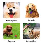 3 Pack Squeaky Dog Balls for Playtime
