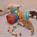 22-Piece Interactive Cat Toy Set with Tunnel