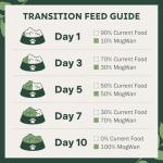 MogWan Grain-Free Dog Biscuits for All Breeds